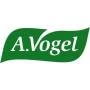A.Vogel