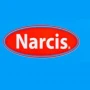 Narcis
