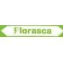 Florasca