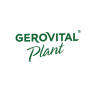 Gerovital Plant