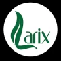 Larix