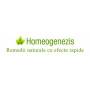 Homeogenezis