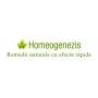 Homeogenezis